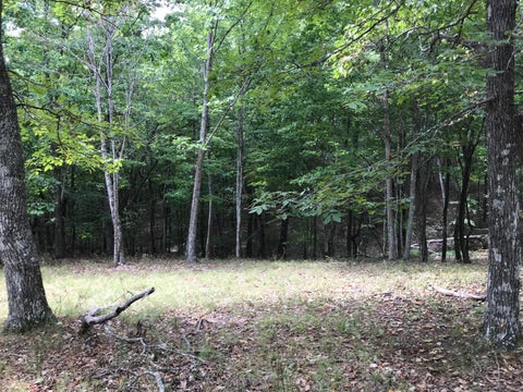 Photo of 103-B Bluffview Drive, Dunlap, TN 37327 (MLS # 1543392)