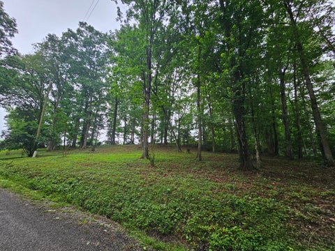 Vacant Land For Sale - 2411 Sr 56 Road<br/> Grundy County, Tracy City, TN 37387