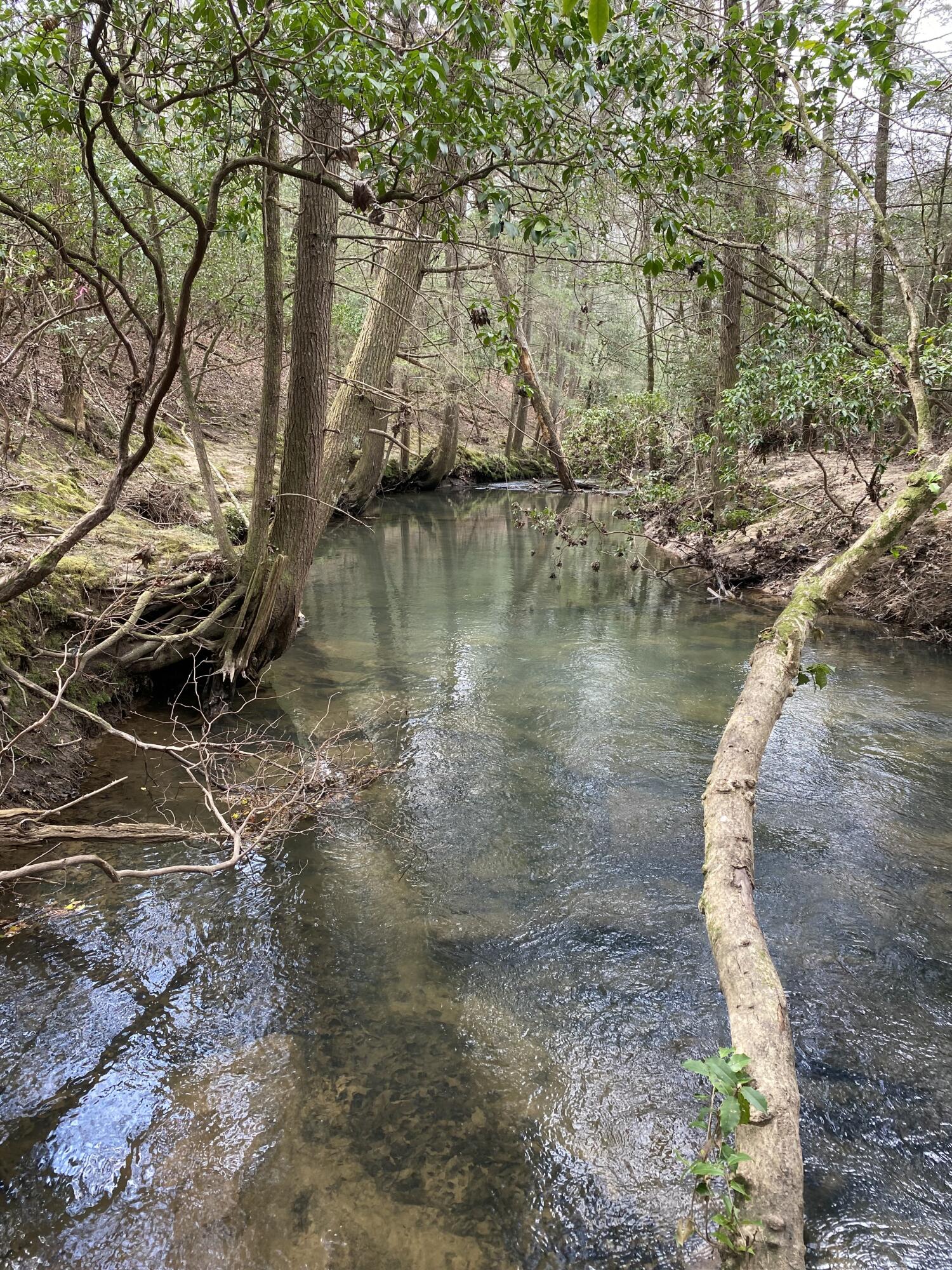 Lone Wolf Trail #4, Spencer, Tennessee image 21