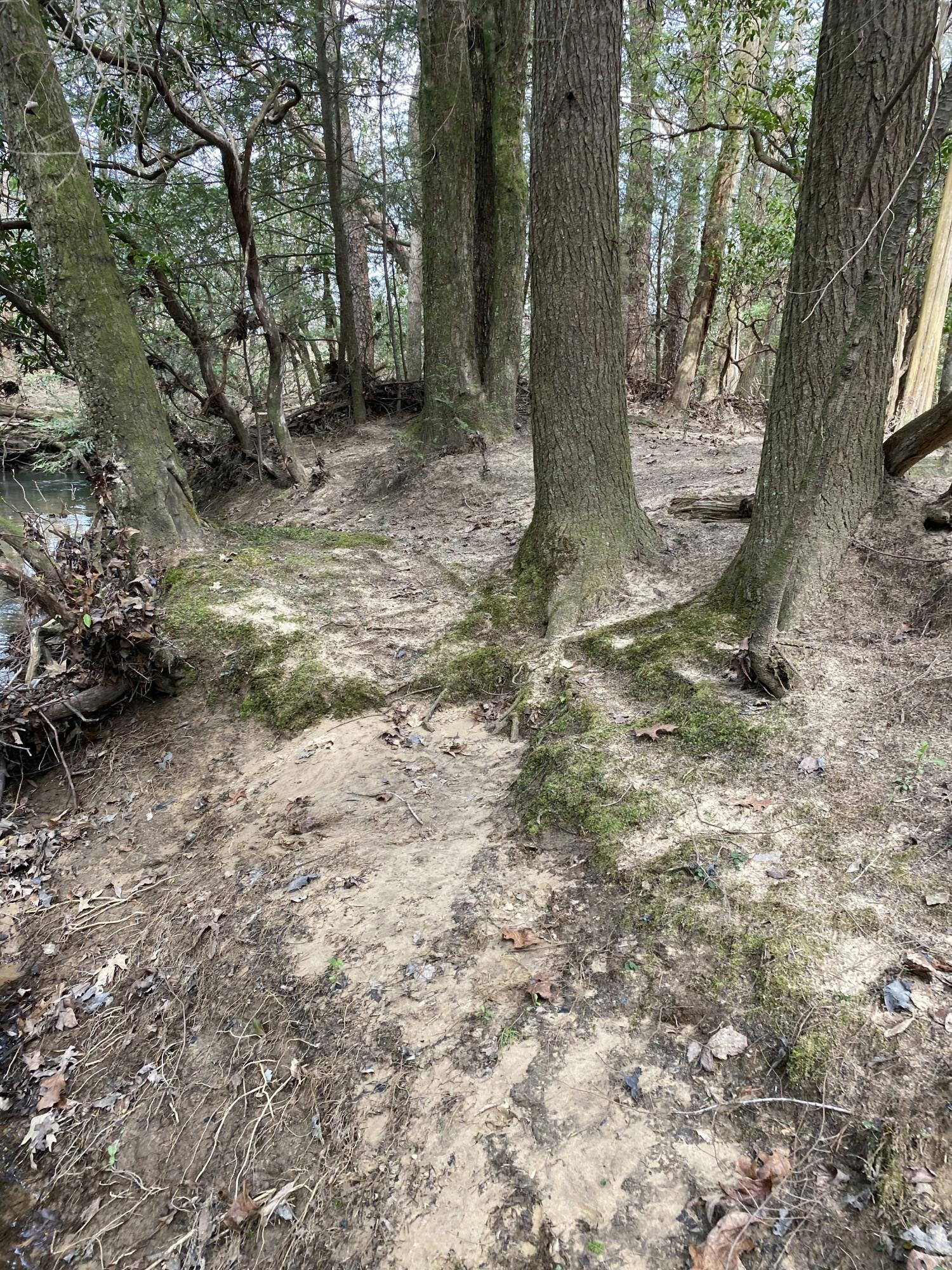 Lone Wolf Trail #4, Spencer, Tennessee image 14