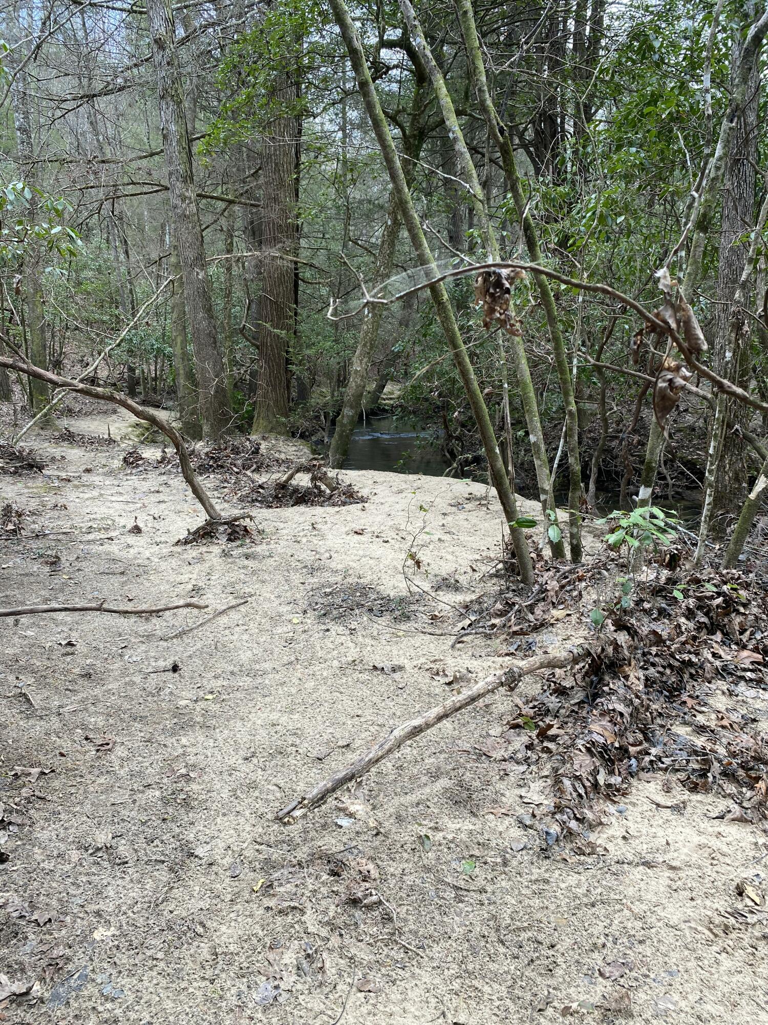 Lone Wolf Trail #4, Spencer, Tennessee image 18