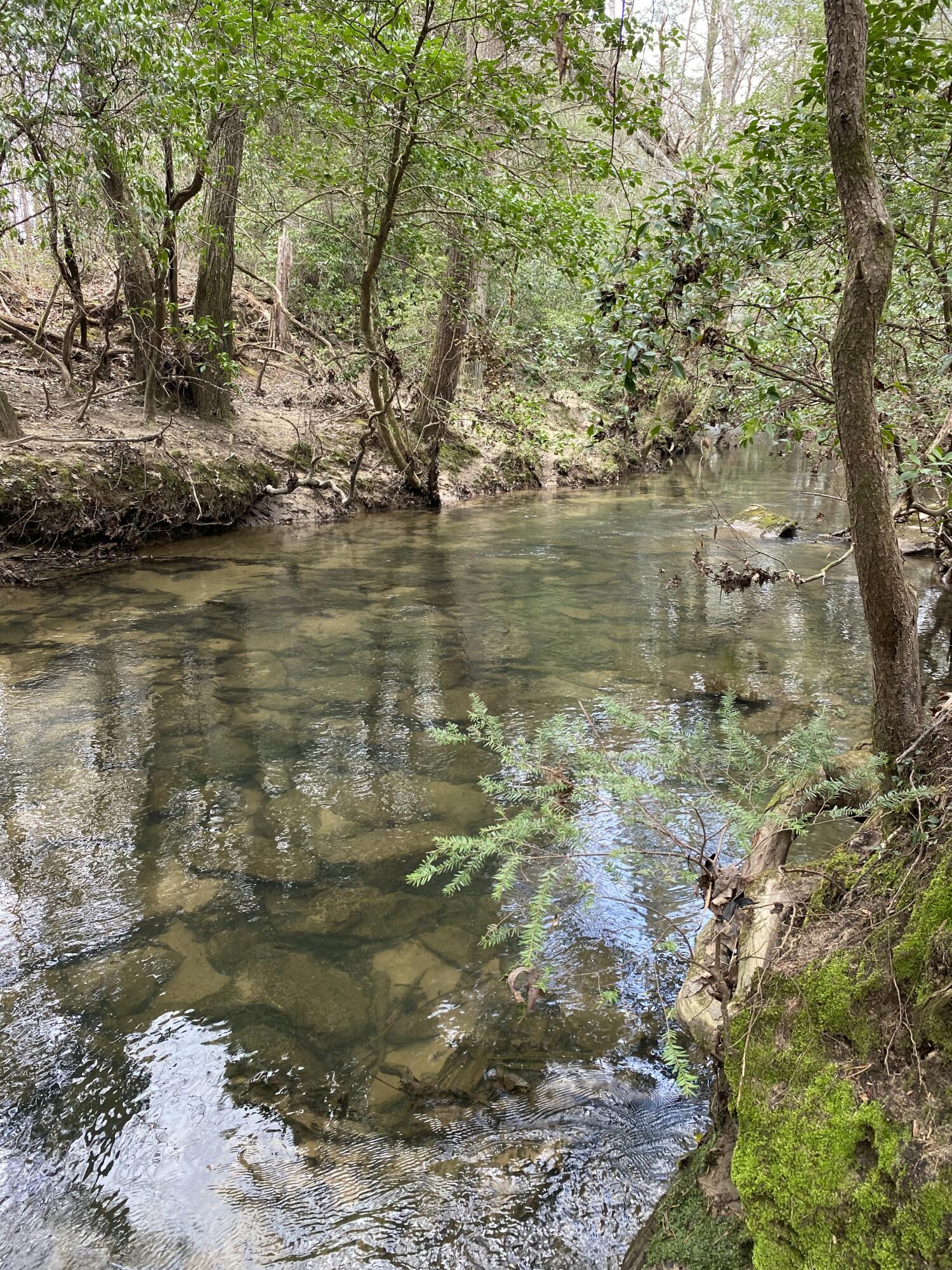 Lone Wolf Trail #4, Spencer, Tennessee image 20