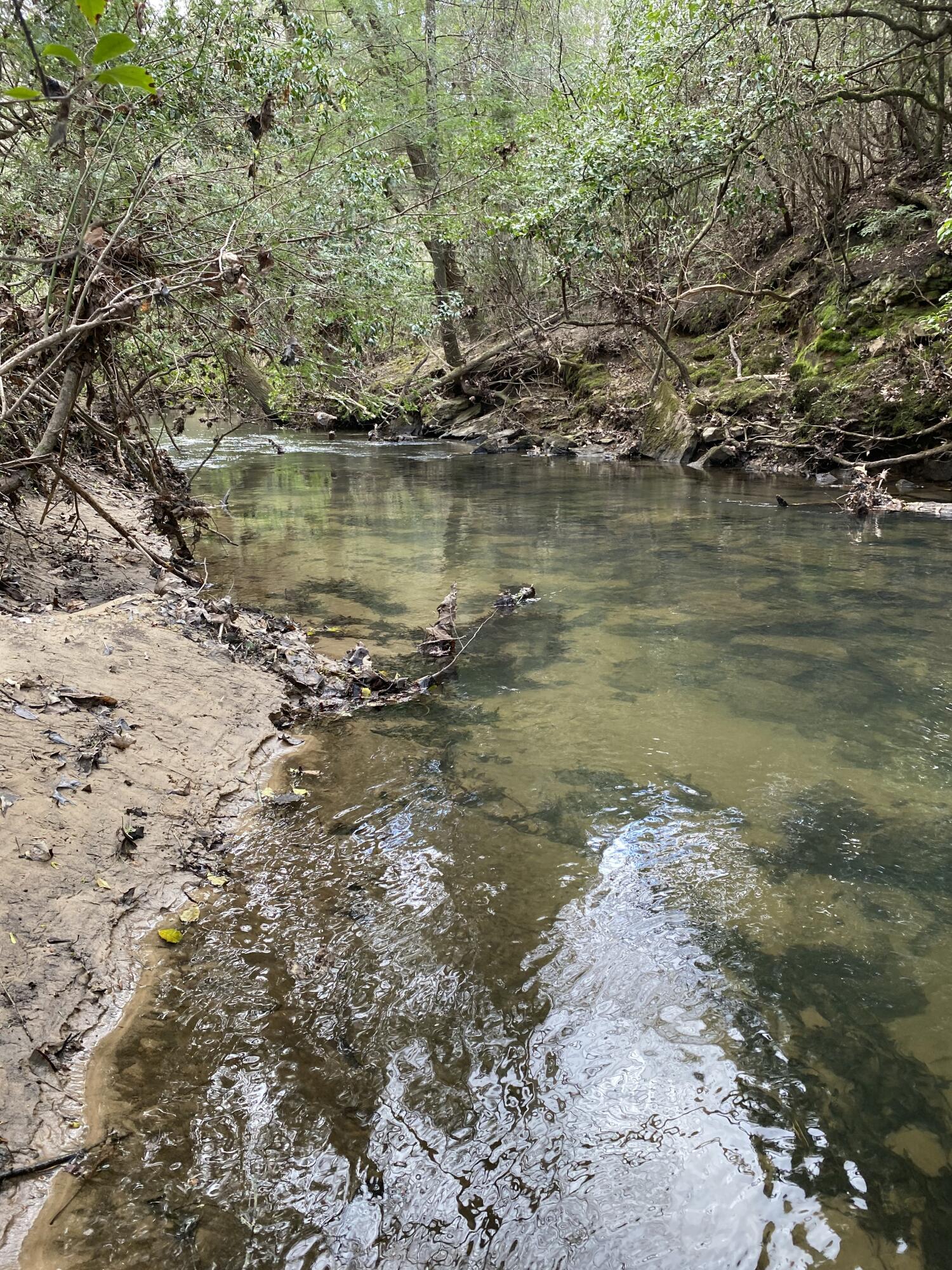 Lone Wolf Trail #4, Spencer, Tennessee image 9