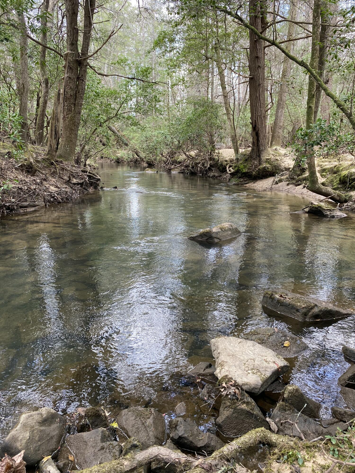 Lone Wolf Trail #4, Spencer, Tennessee image 3