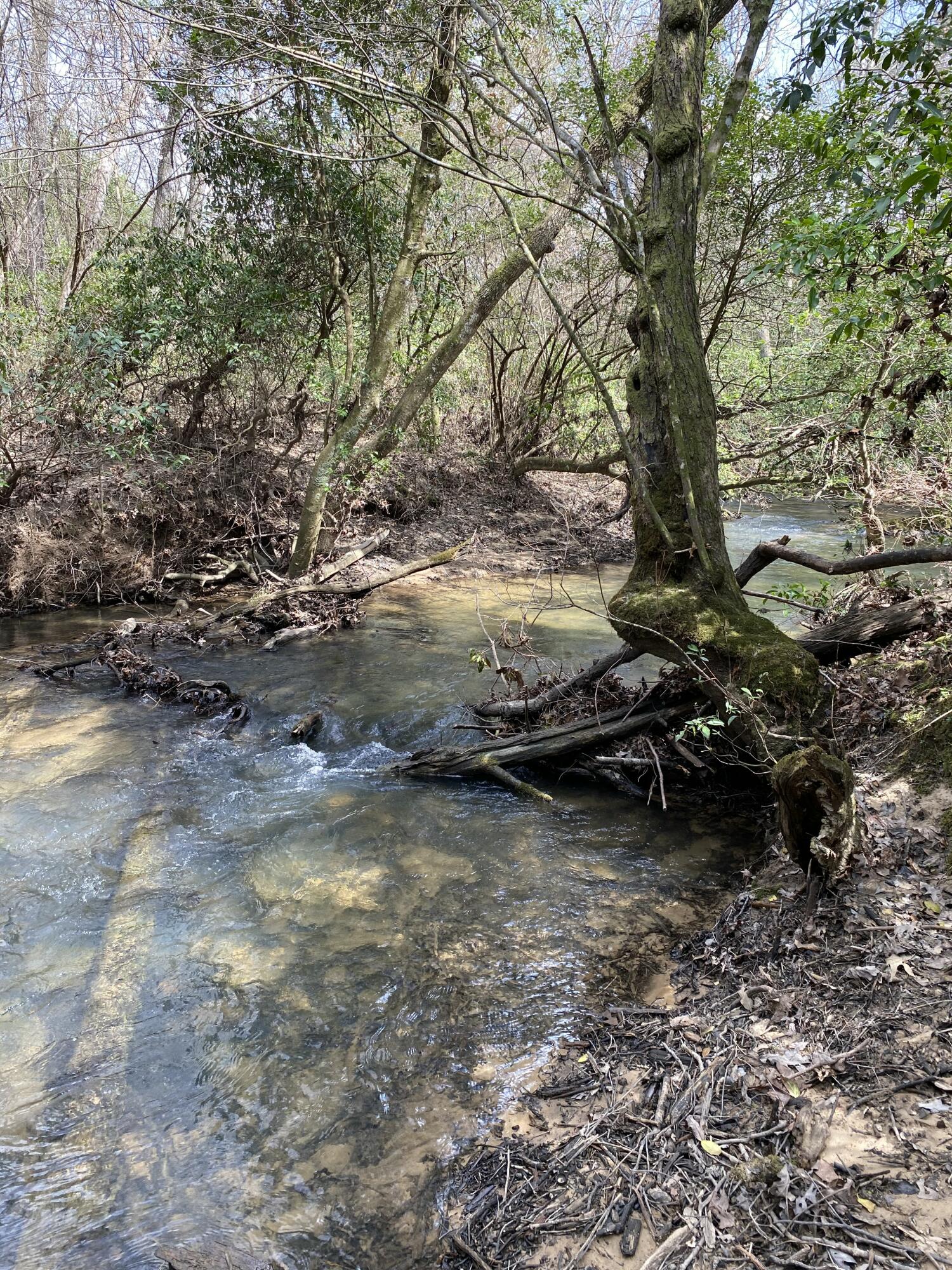 Lone Wolf Trail #4, Spencer, Tennessee image 5