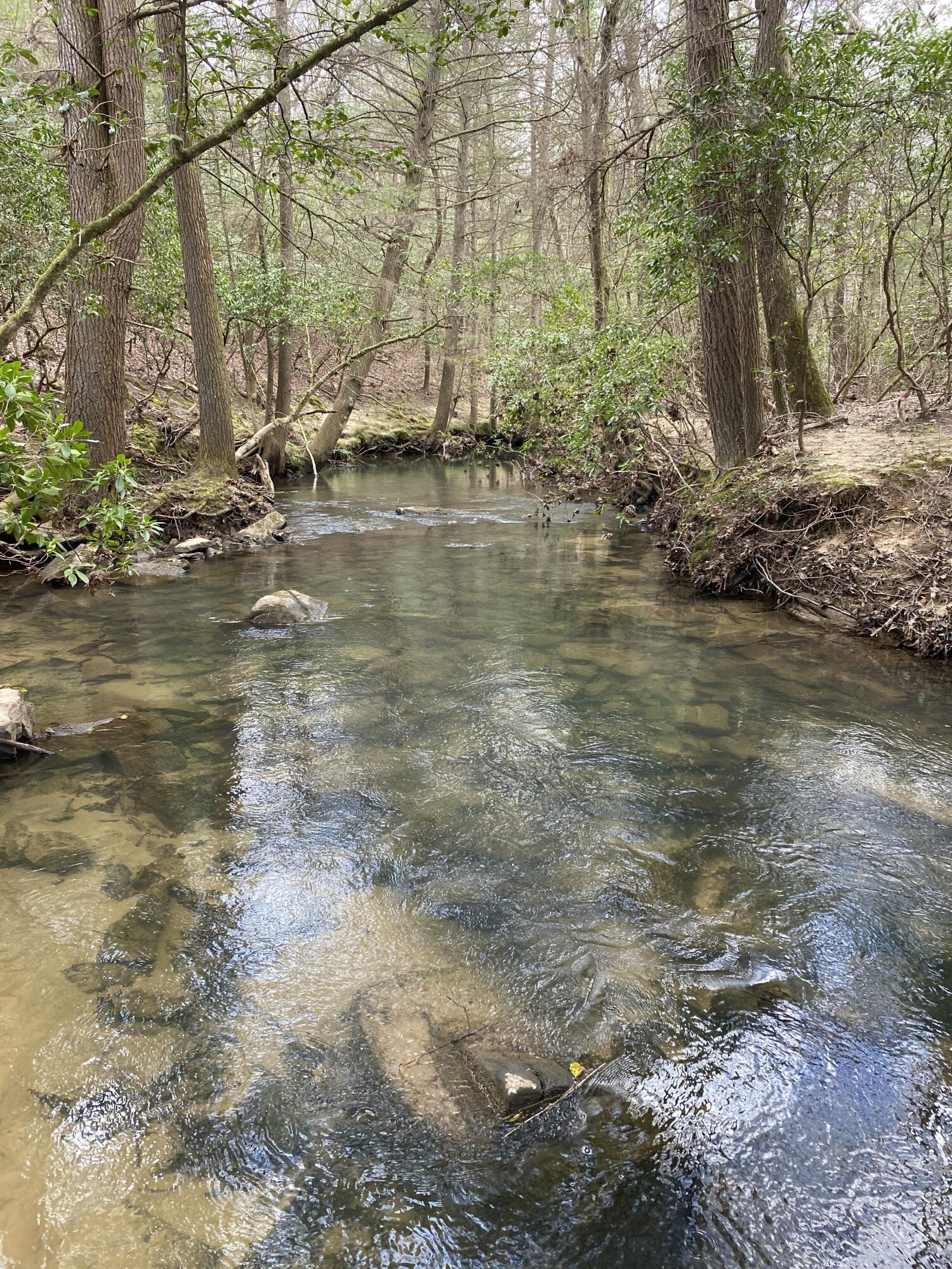 Lone Wolf Trail #4, Spencer, Tennessee image 19