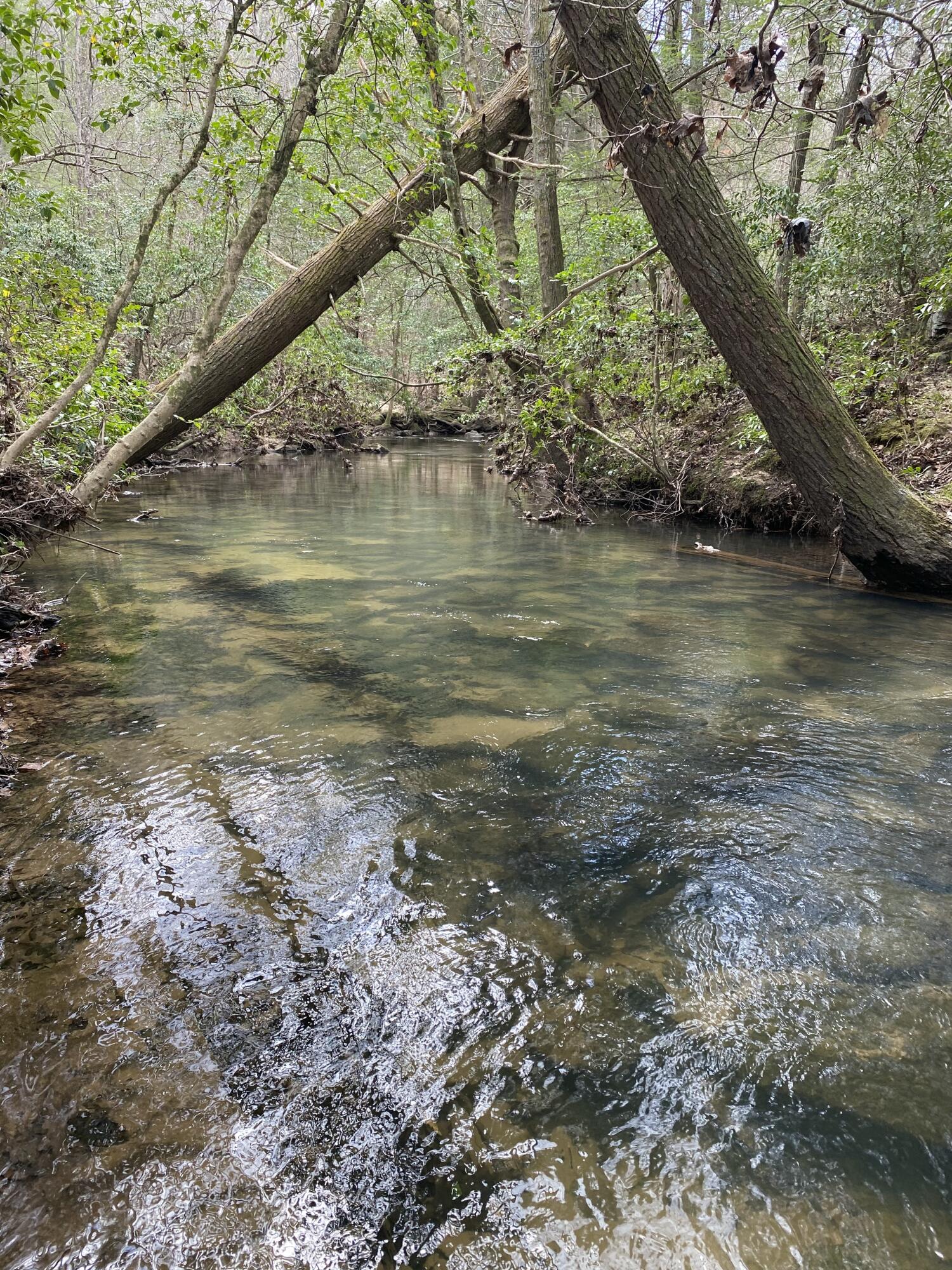 Lone Wolf Trail #4, Spencer, Tennessee image 11