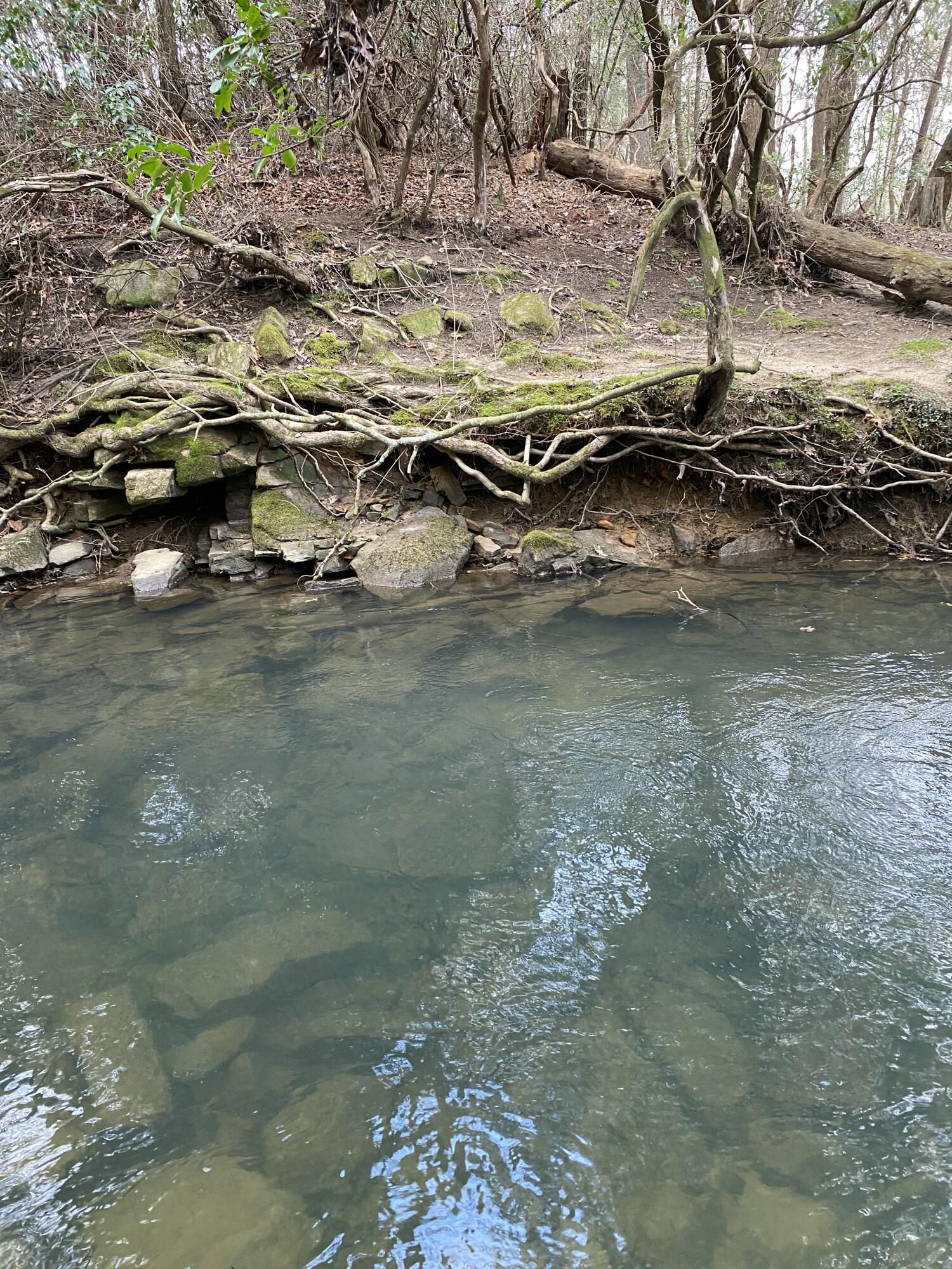 Lone Wolf Trail #4, Spencer, Tennessee image 8