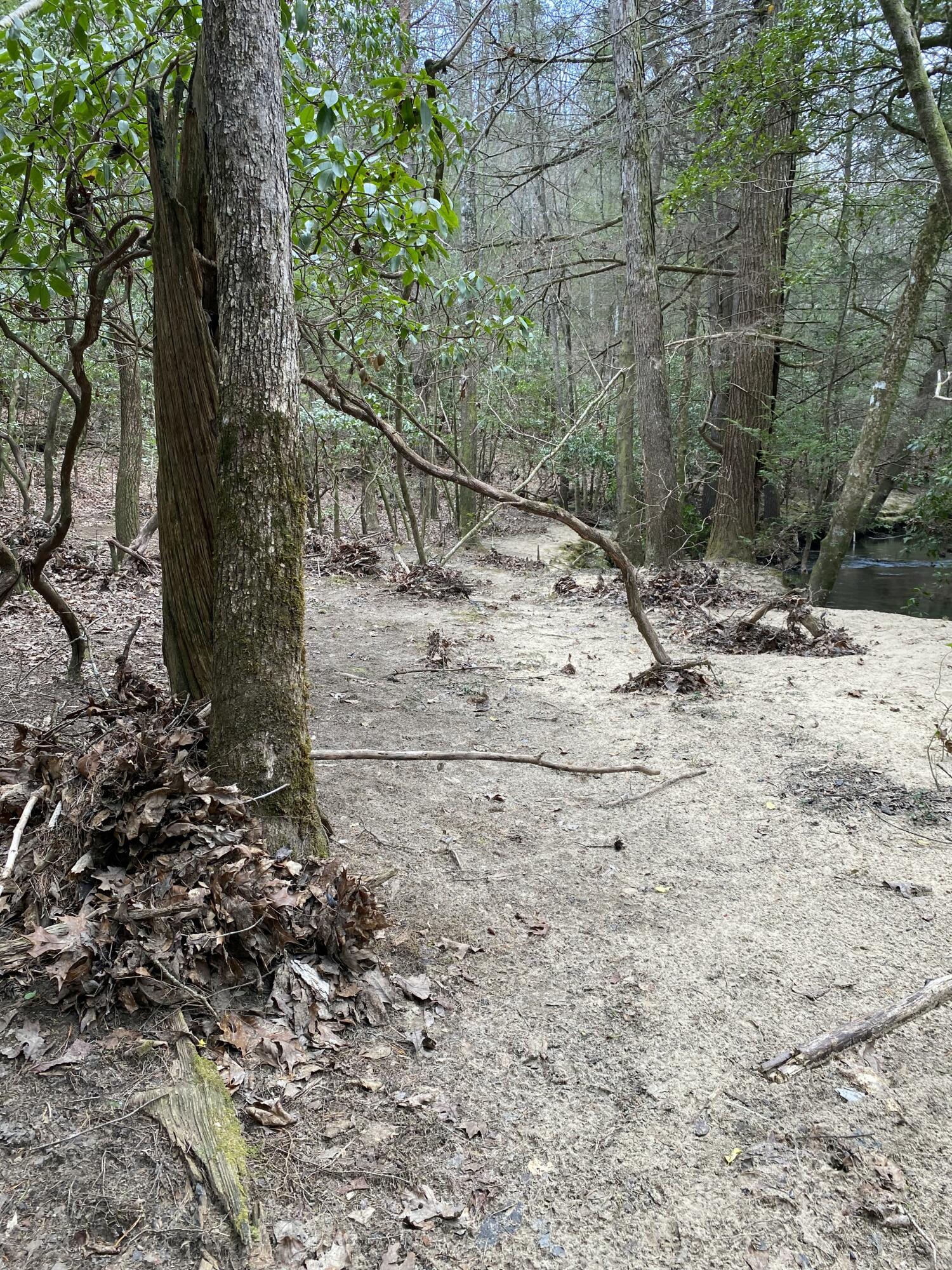 Lone Wolf Trail #4, Spencer, Tennessee image 16