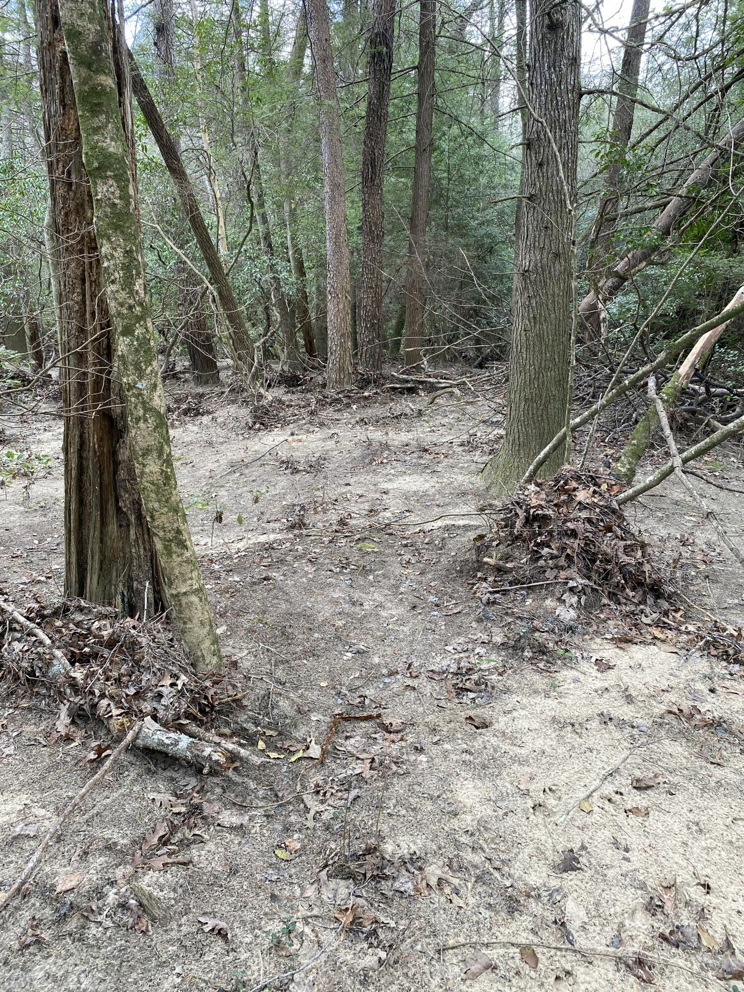 Lone Wolf Trail #4, Spencer, Tennessee image 17