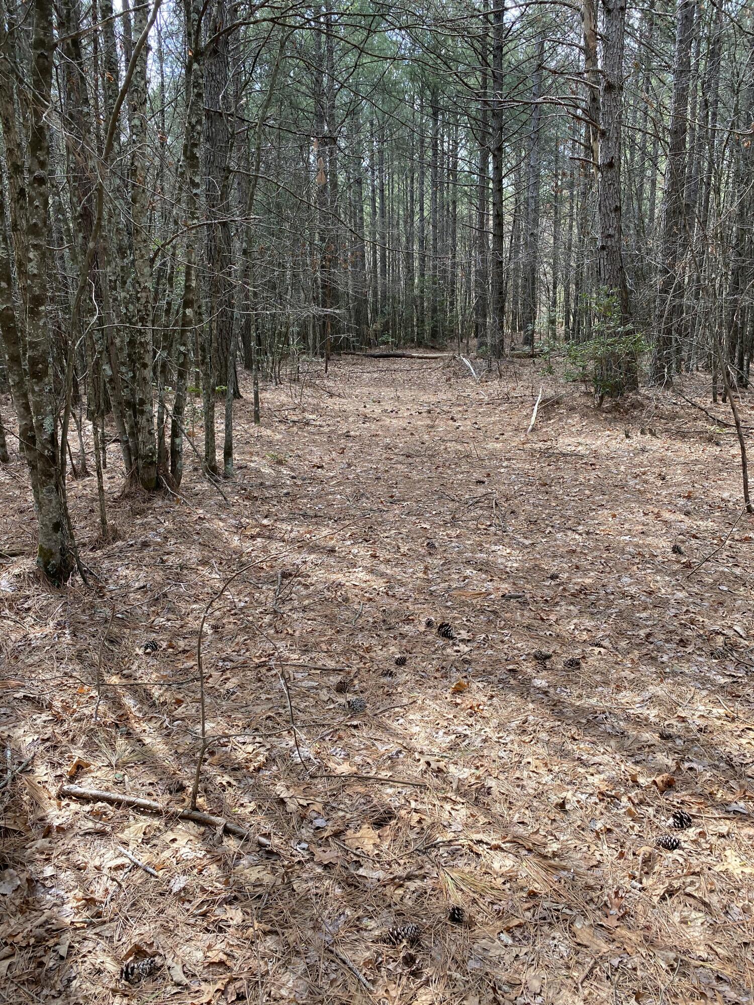 Lone Wolf Trail #4, Spencer, Tennessee image 26
