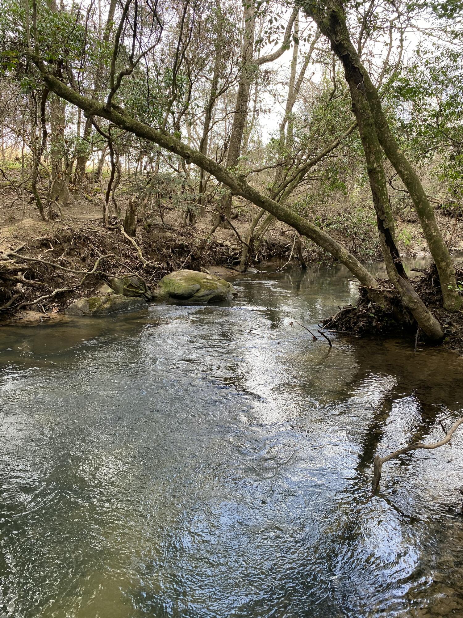 Lone Wolf Trail #4, Spencer, Tennessee image 6
