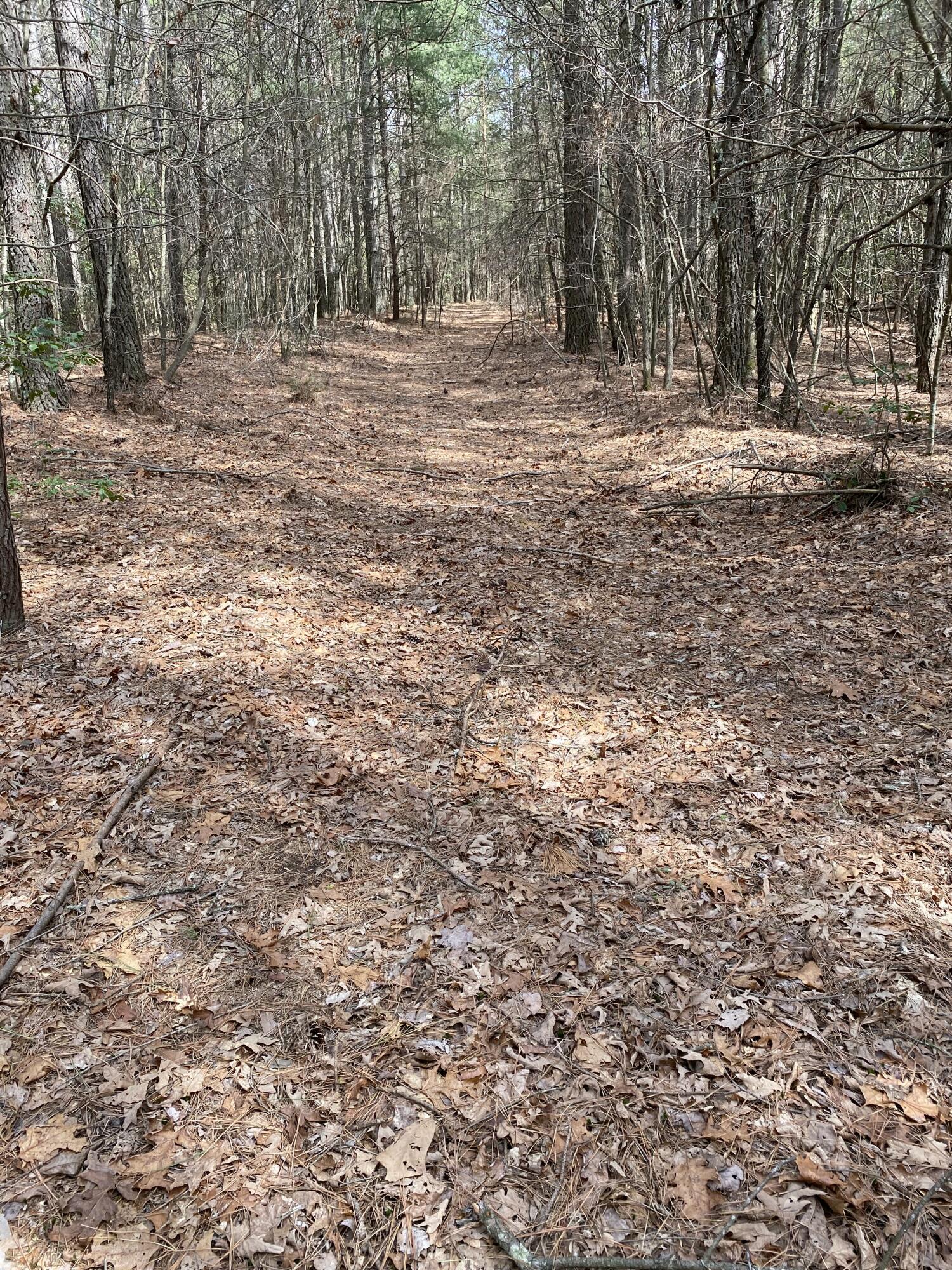Lone Wolf Trail #4, Spencer, Tennessee image 25