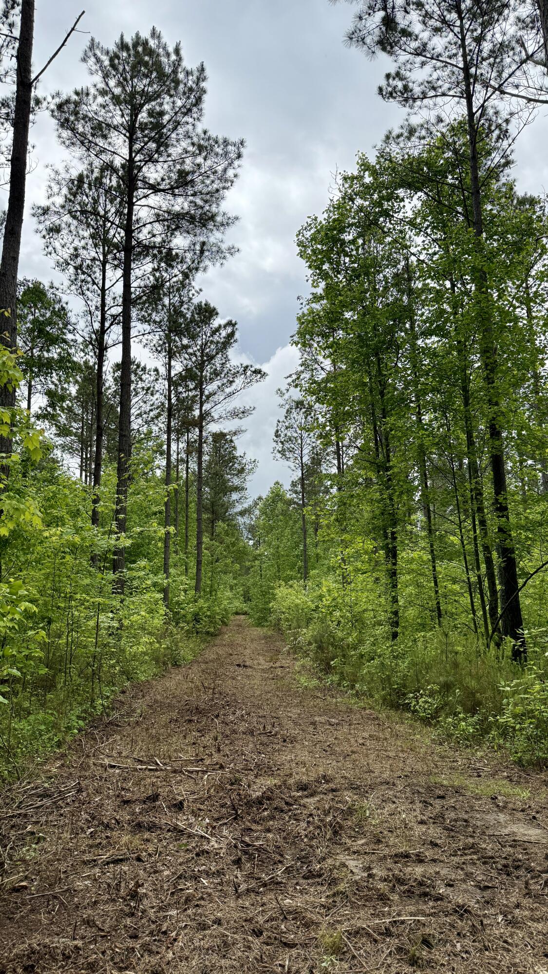 Sullivan Road #LOT 3, Dunlap, Tennessee image 17