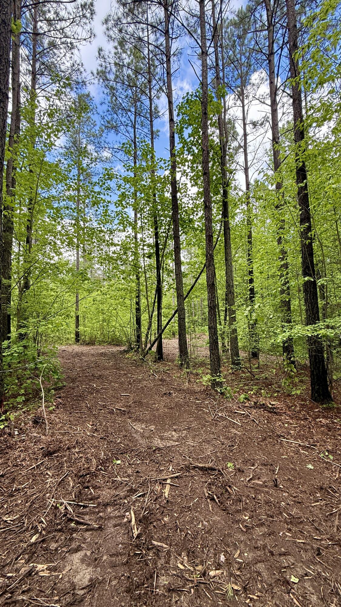Sullivan Road #LOT 3, Dunlap, Tennessee image 4