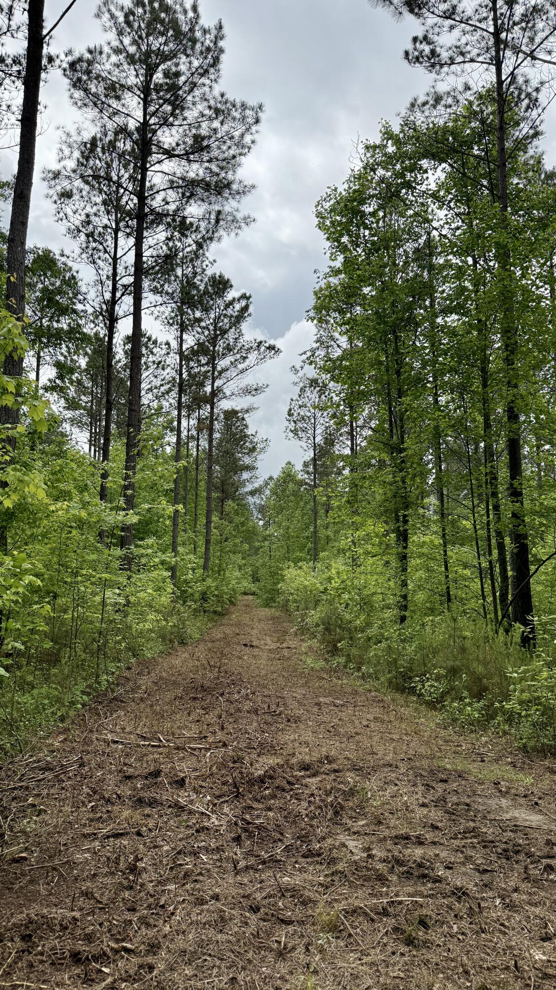 Sullivan Road #LOT 3, Dunlap, Tennessee image 16