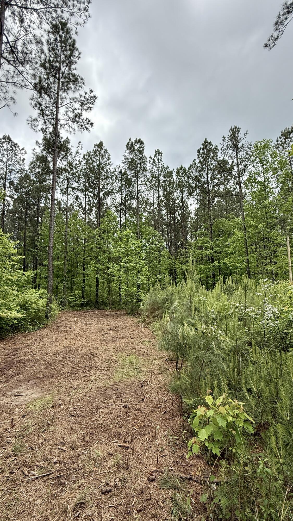 Sullivan Road #LOT 3, Dunlap, Tennessee image 18