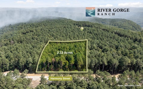 Photo of Lot 2017 Harmony Street, Guild, TN 37340 (MLS # 1541036)