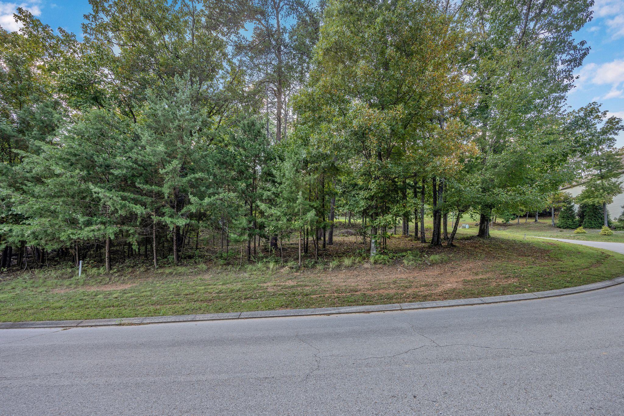 2149 Horizons Drive #LOT 47, Ooltewah, Tennessee image 1