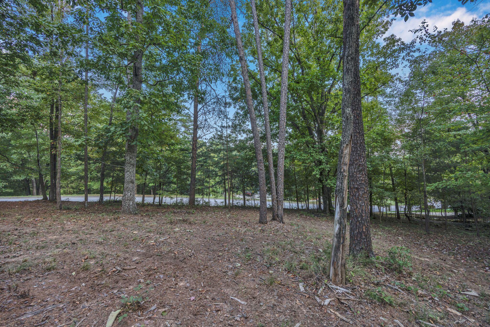 2149 Horizons Drive #LOT 47, Ooltewah, Tennessee image 2