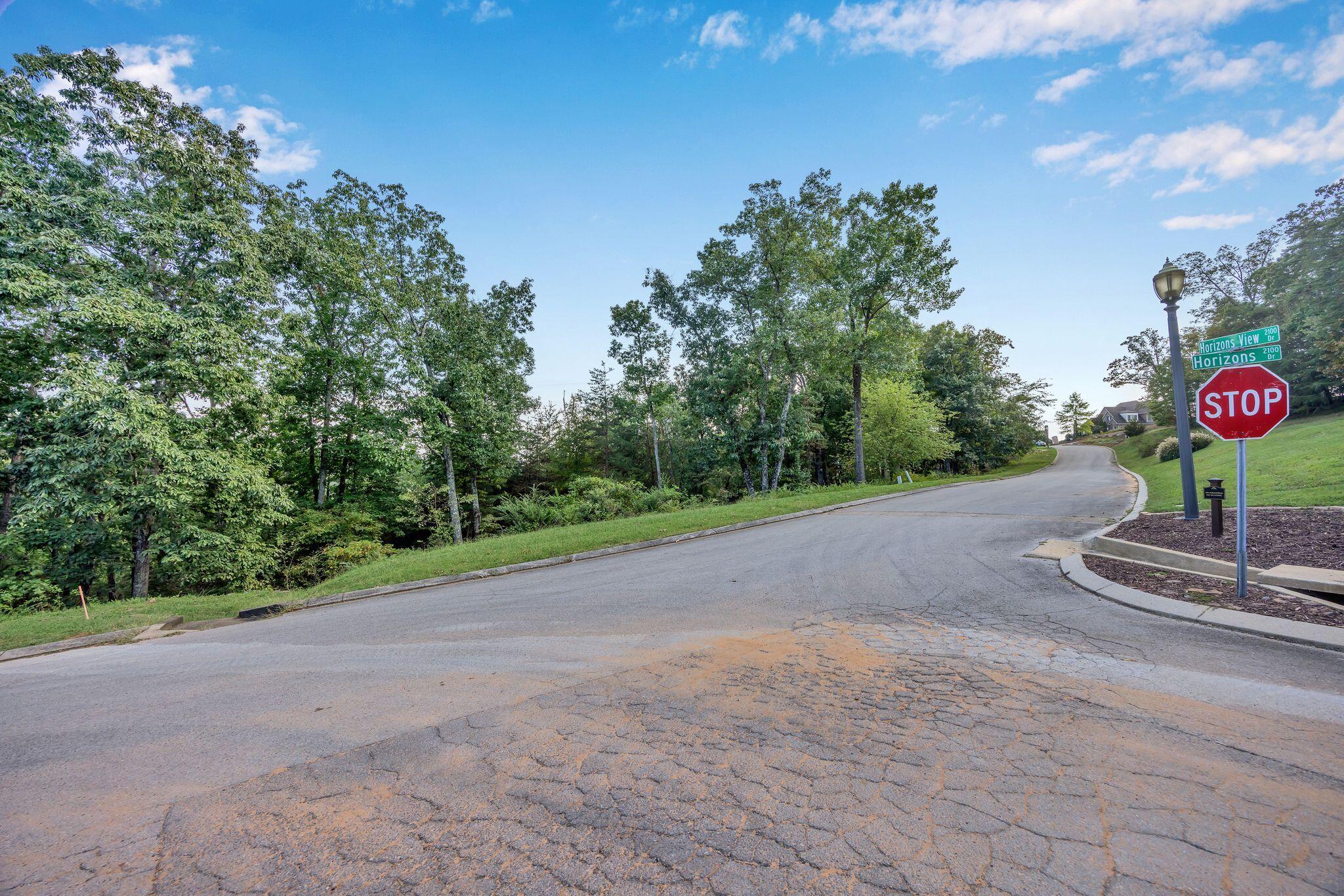 2149 Horizons Drive #LOT 47, Ooltewah, Tennessee image 8