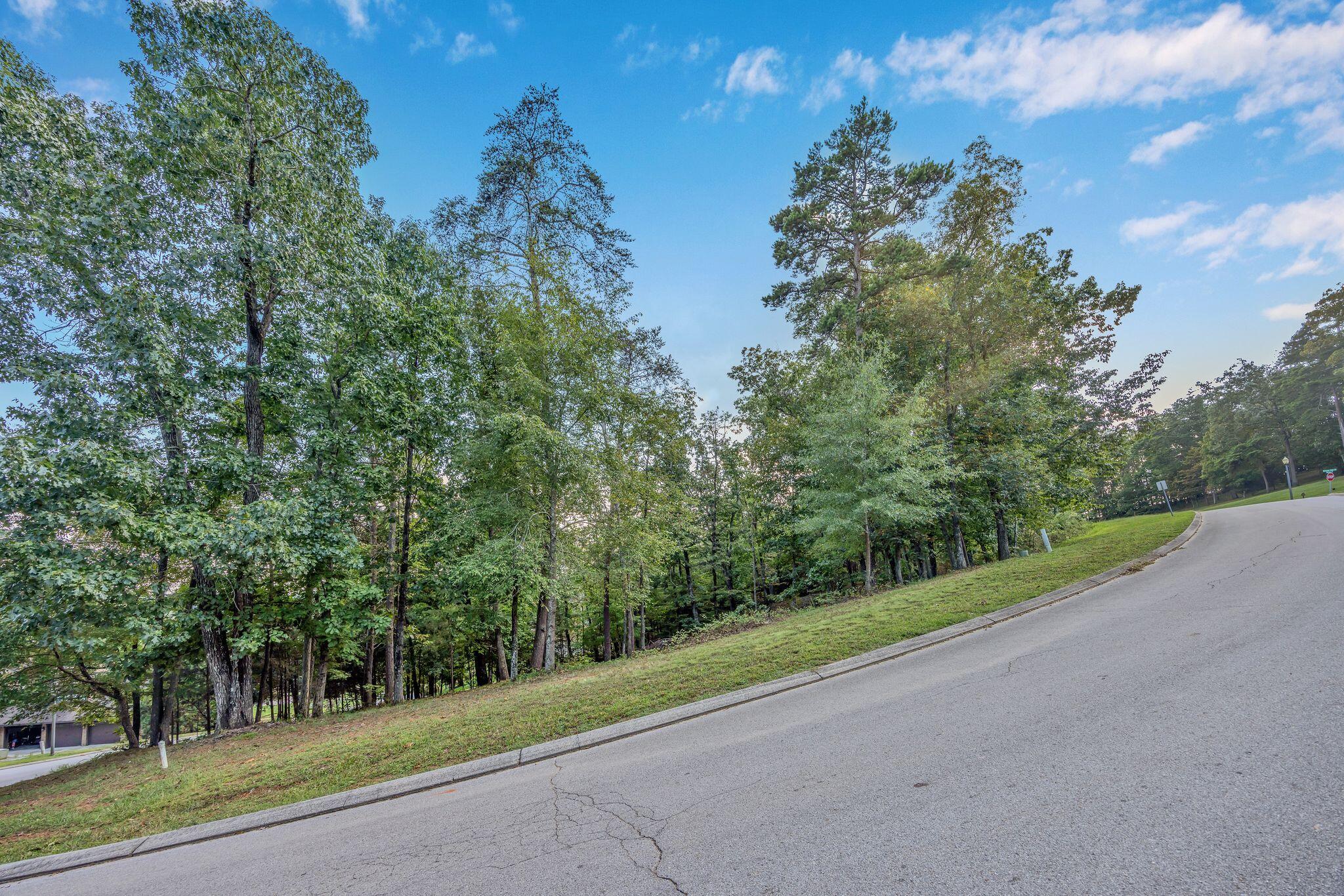 2149 Horizons Drive #LOT 47, Ooltewah, Tennessee image 6