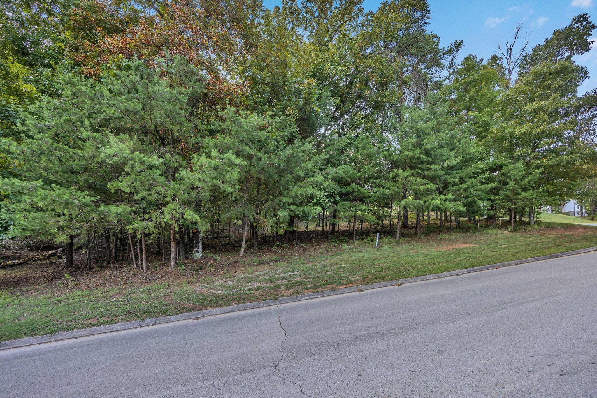 2149 Horizons Drive #LOT 47, Ooltewah, Tennessee image 7