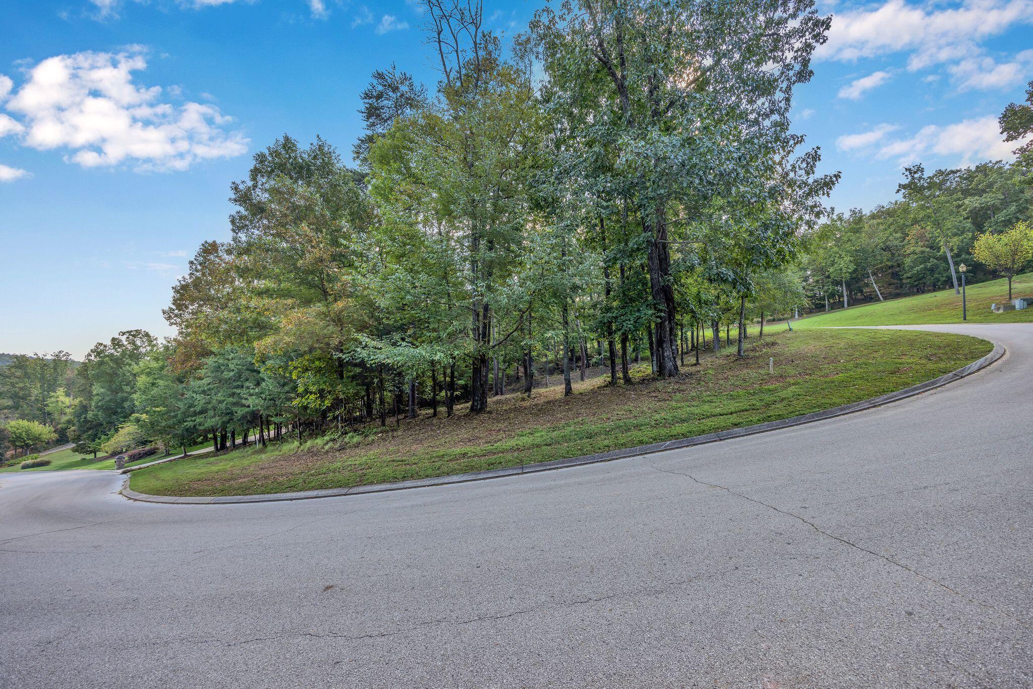 2149 Horizons Drive #LOT 47, Ooltewah, Tennessee image 4