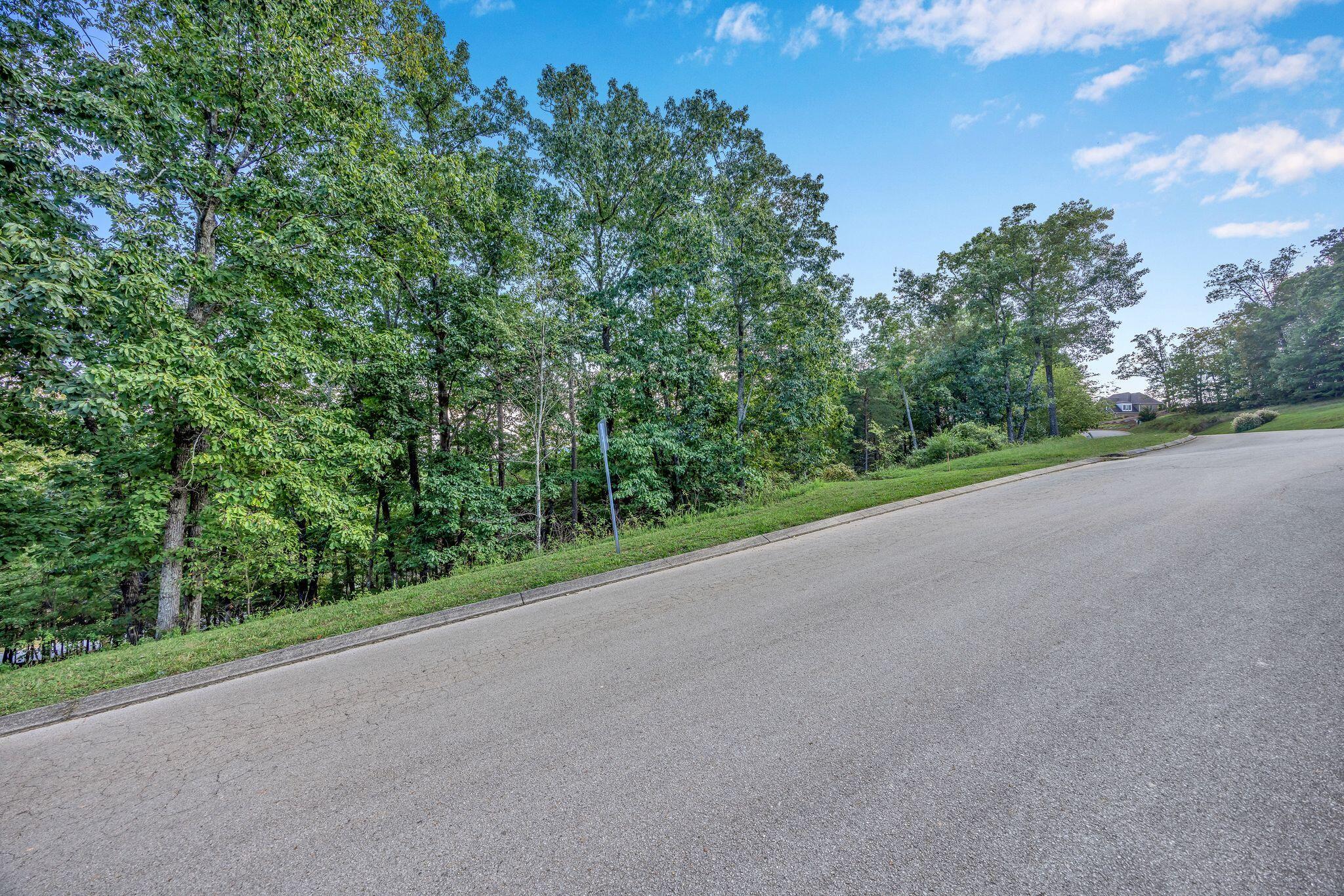 2149 Horizons Drive #LOT 47, Ooltewah, Tennessee image 5