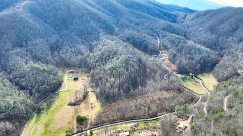 Vacant Land For Sale - S Highway 32<br/> Cosby, TN 37722