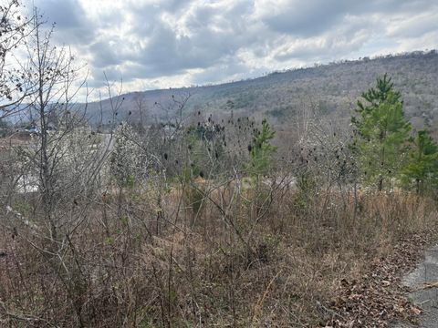 Tiny photo for 10 Tanglewood Trail, Trenton, GA 30752 (MLS # 1529388)