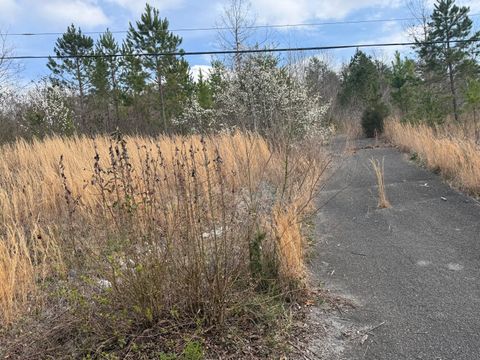 Tiny photo for 10 Tanglewood Trail, Trenton, GA 30752 (MLS # 1529388)