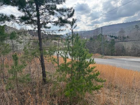 Tiny photo for 10 Tanglewood Trail, Trenton, GA 30752 (MLS # 1529388)