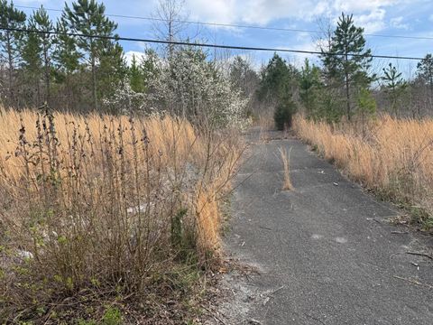 Tiny photo for 10 Tanglewood Trail, Trenton, GA 30752 (MLS # 1529388)