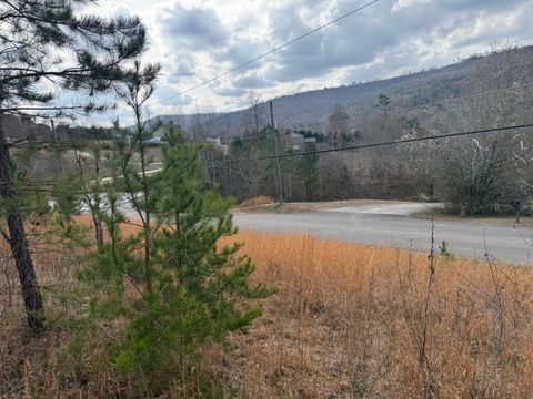 Photo of 10 Tanglewood Trail, Trenton, GA 30752 (MLS # 1529388)