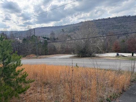 Tiny photo for 10 Tanglewood Trail, Trenton, GA 30752 (MLS # 1529388)