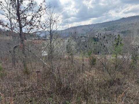 Tiny photo for 10 Tanglewood Trail, Trenton, GA 30752 (MLS # 1529388)