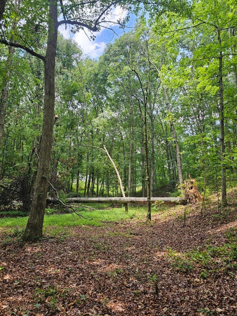 Vacant Land For Sale - Pineywood Drive<br/> Ringgold, GA 30736