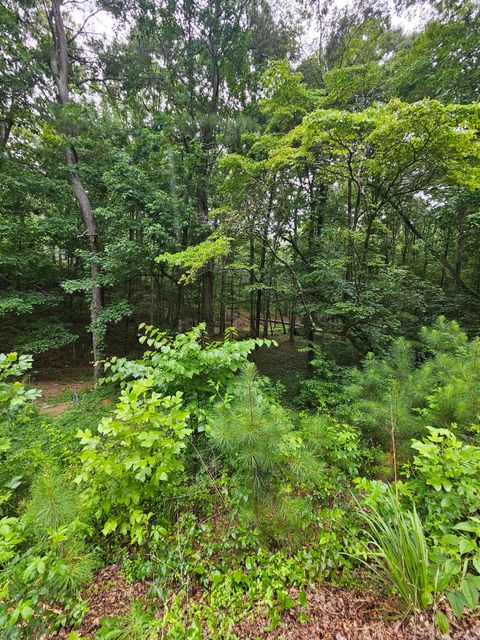 Photo of 0 Pineywood Drive, Ringgold, GA 30736 (MLS # 1515968)