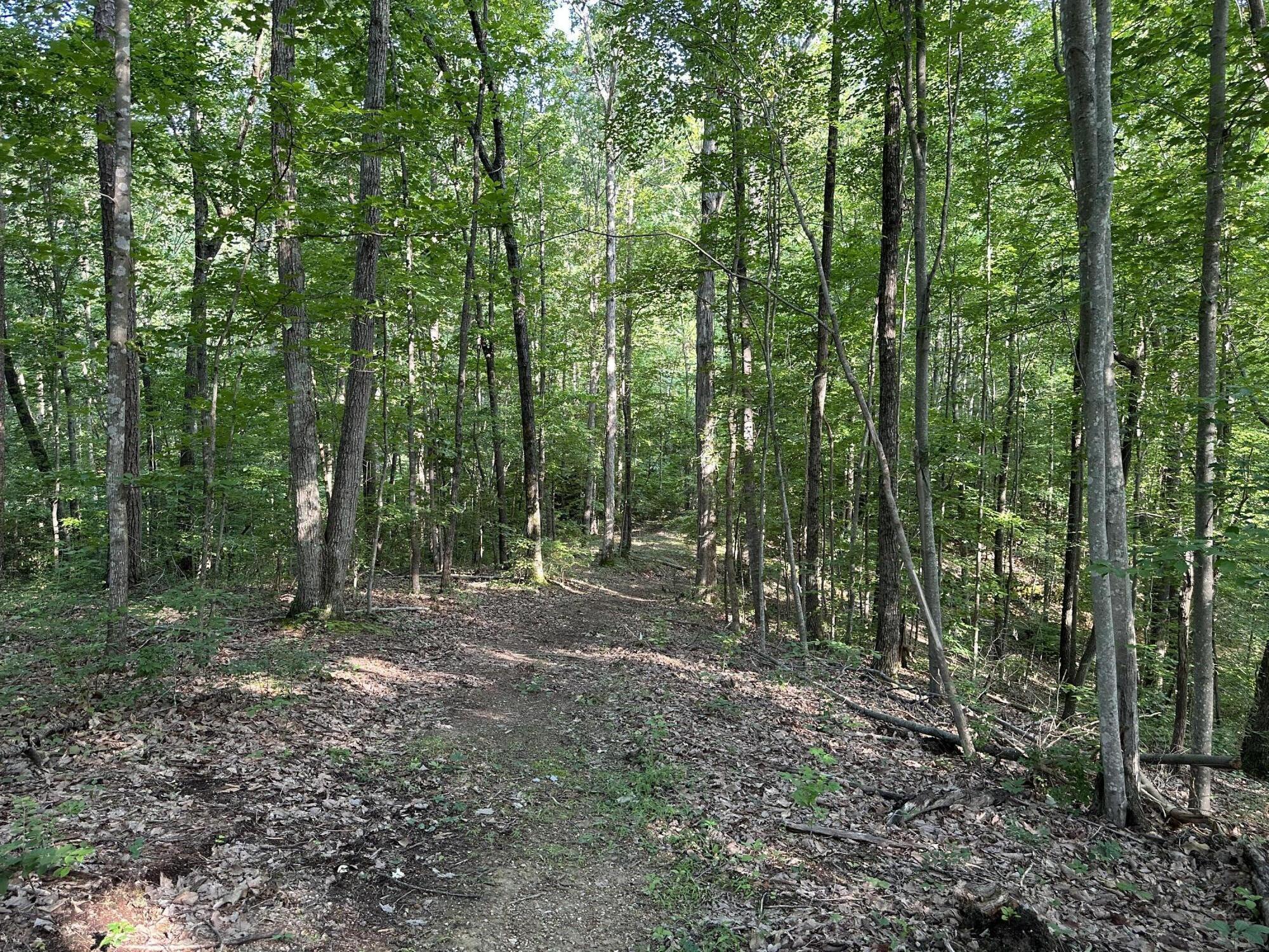3692 Pan Gap Circle, Chattanooga, Tennessee image 8