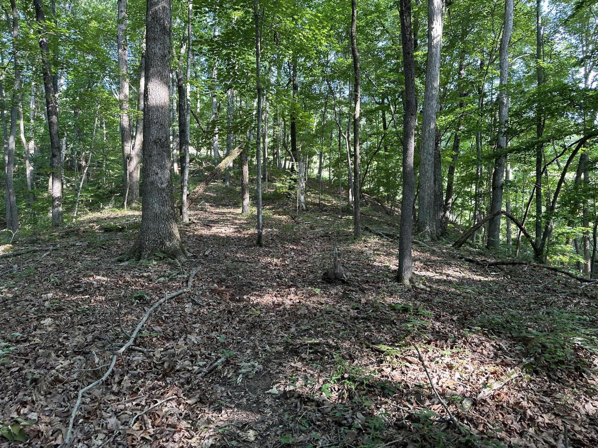 3692 Pan Gap Circle, Chattanooga, Tennessee image 7