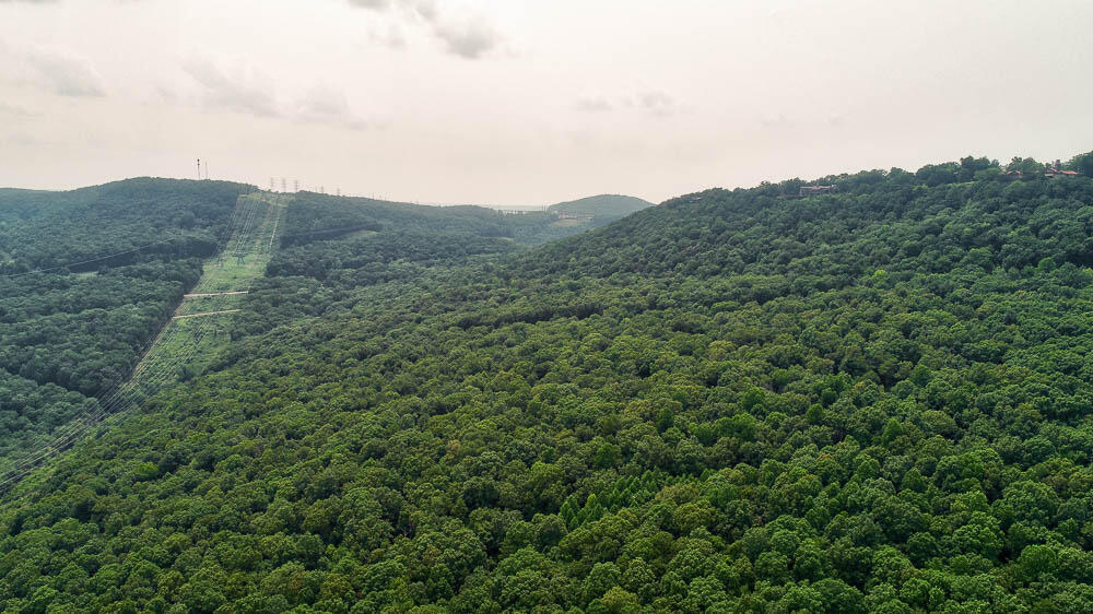 3692 Pan Gap Circle, Chattanooga, Tennessee image 17