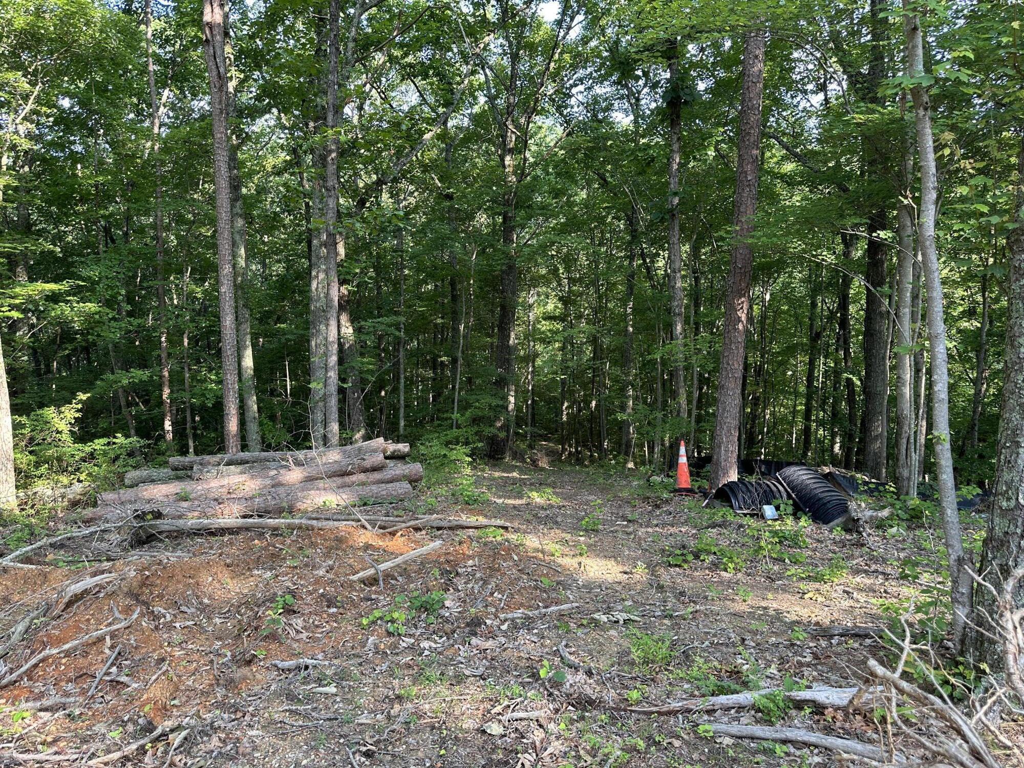 3692 Pan Gap Circle, Chattanooga, Tennessee image 10