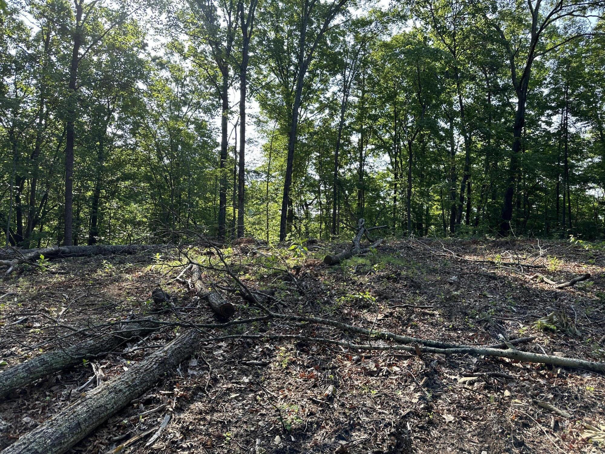 3692 Pan Gap Circle, Chattanooga, Tennessee image 9