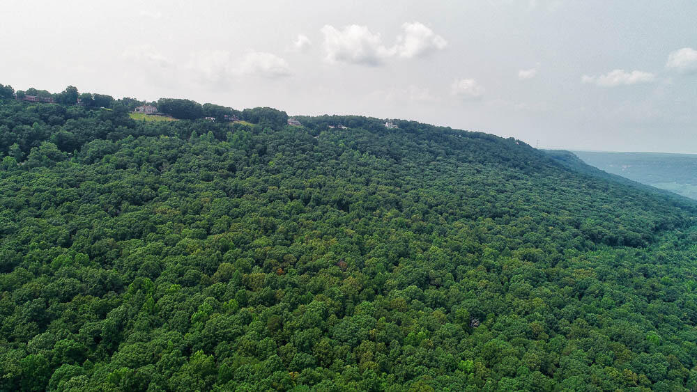 3692 Pan Gap Circle, Chattanooga, Tennessee image 19