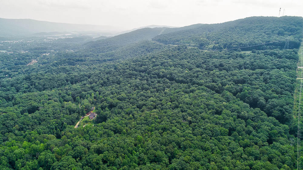 3692 Pan Gap Circle, Chattanooga, Tennessee image 28