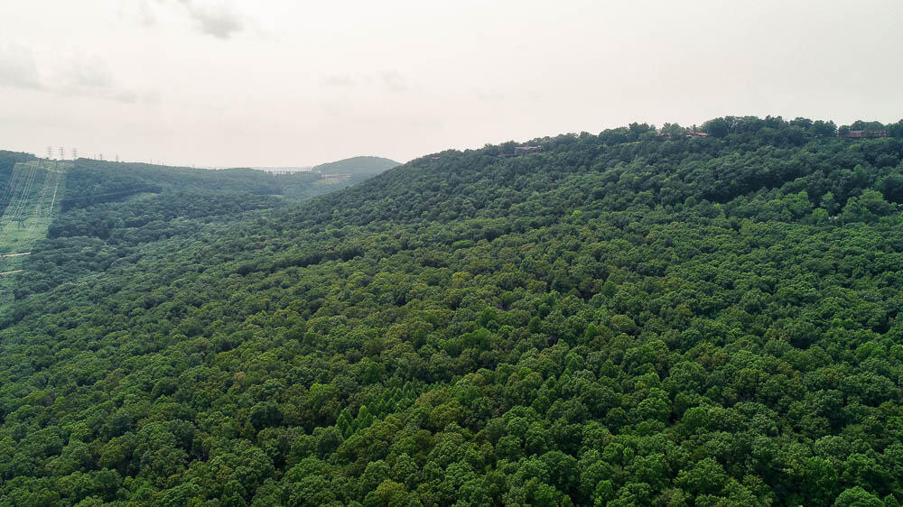 3692 Pan Gap Circle, Chattanooga, Tennessee image 18