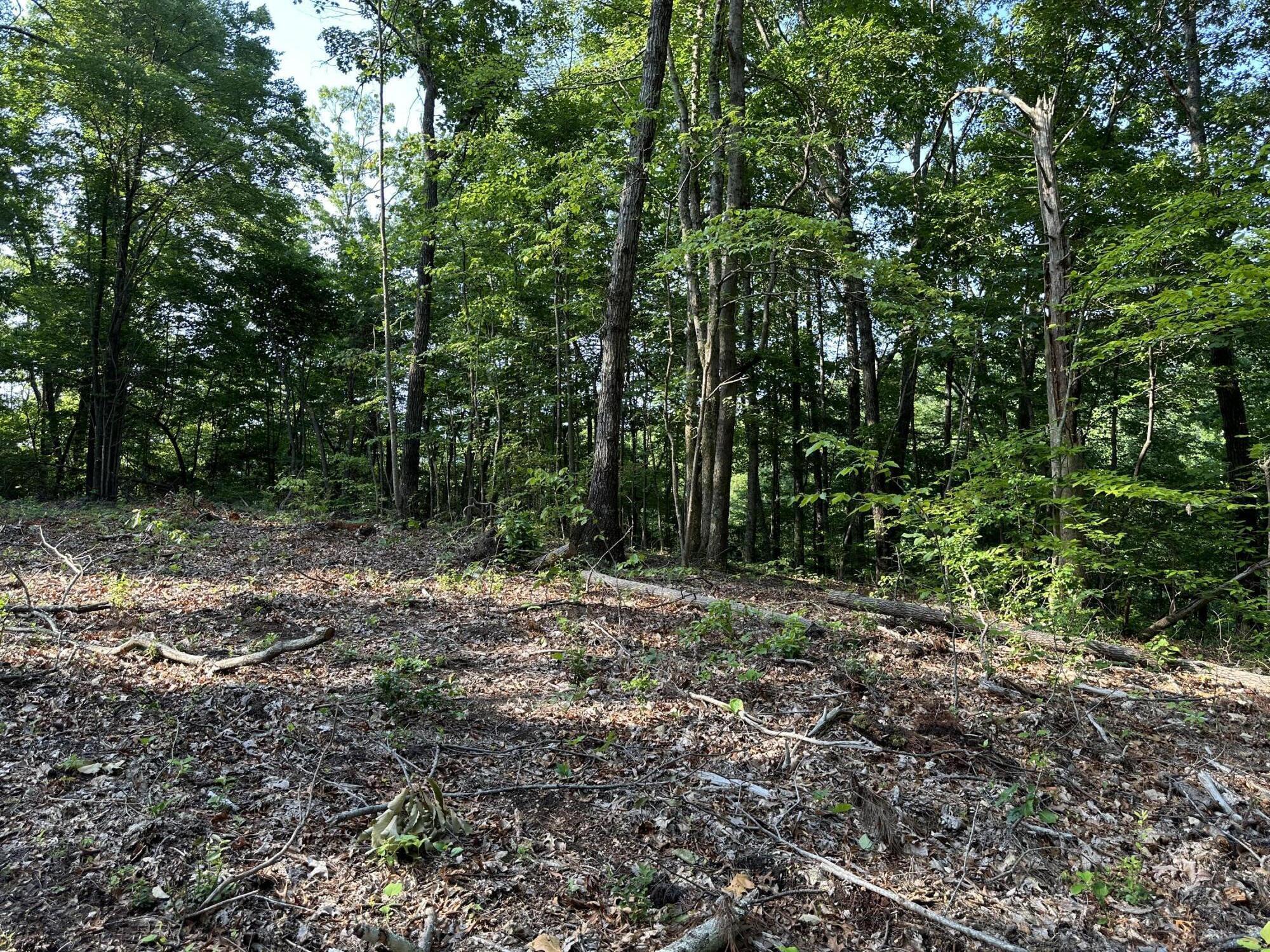 3692 Pan Gap Circle, Chattanooga, Tennessee image 11