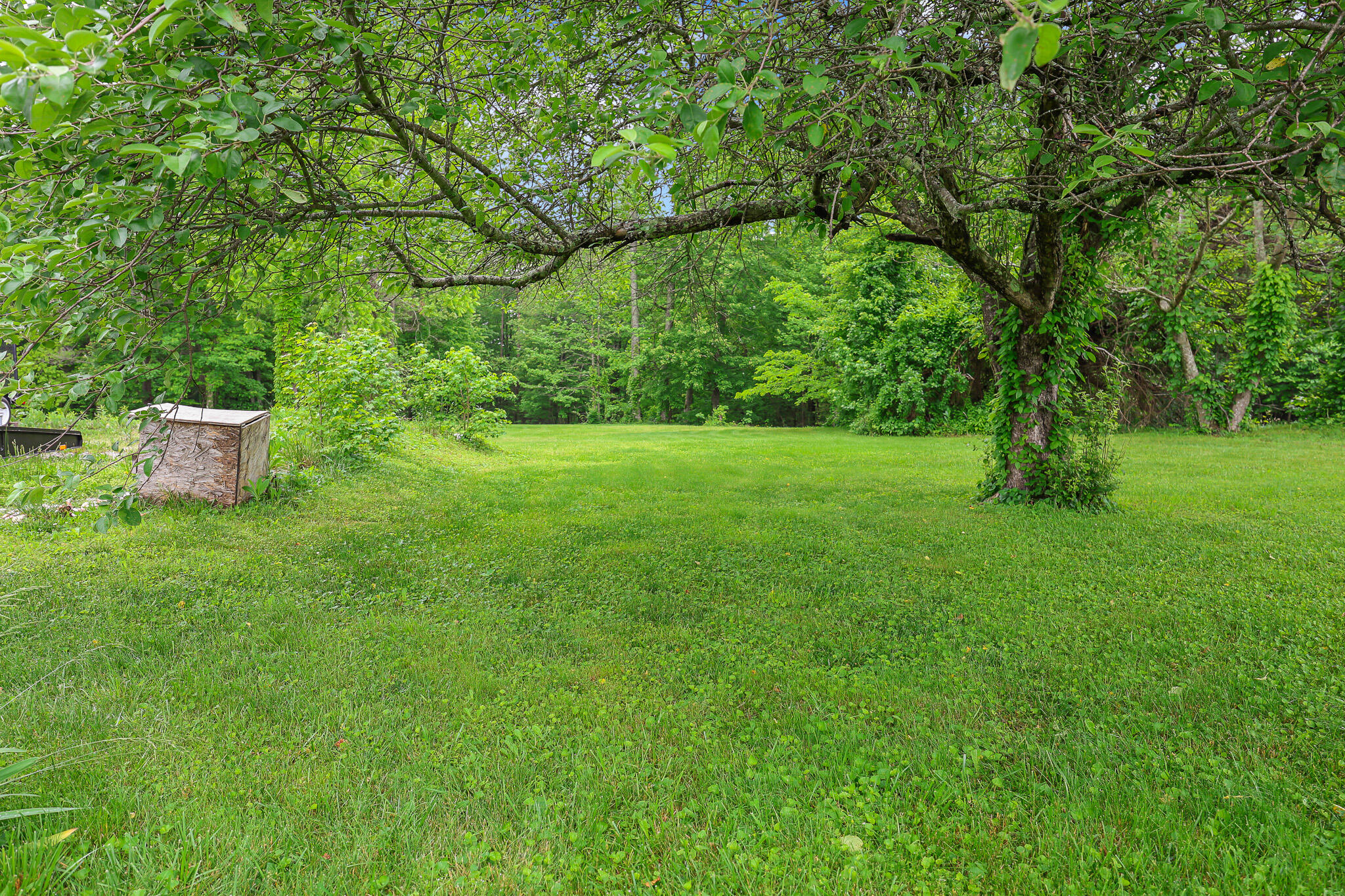 4306 Fredonia Road, Dunlap, Tennessee image 30