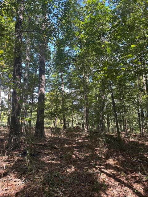 Photo of Lot 13 Hickory Hollow Sub Road, Tracy City, TN 37387 (MLS # 1520851)